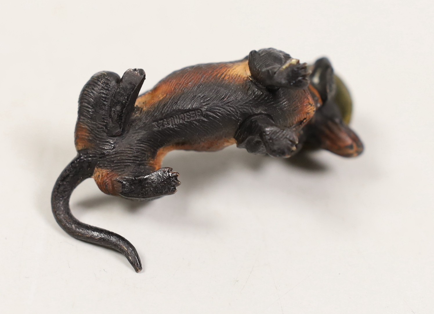 An Austrian cold painted bronze of a seated Dachshund wearing a hat
